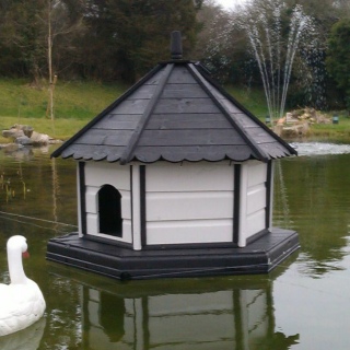 Обустройство пруда для уток.